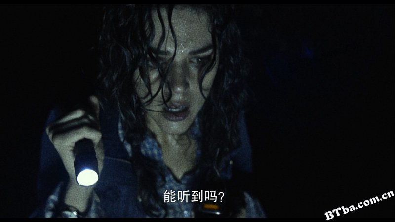 布莱尔女巫/追杀厄夜丛林(台)/死亡习作：咒怨森林(港)