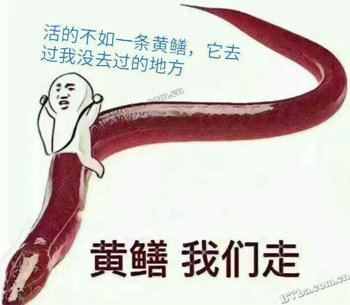 黄鳝直播视频门