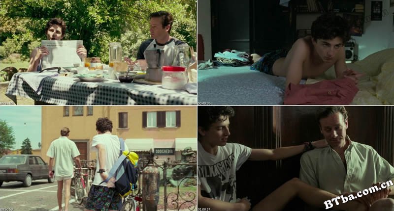 请以你的名字呼唤我/以你的名字呼唤我(港/台)/Call Me by Your Name