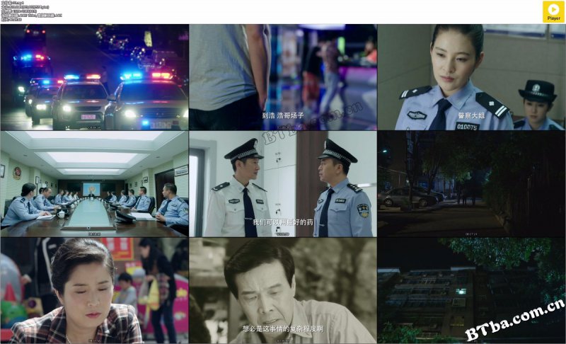 法网追凶/我是警察之潜伏