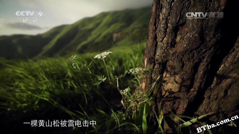 武功山