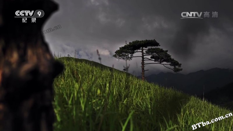 武功山