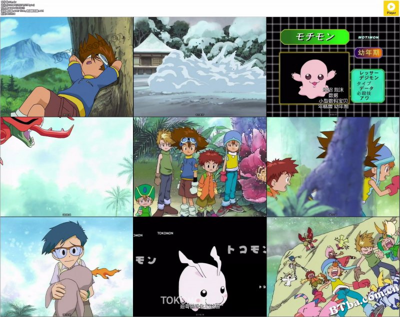 数码宝贝/数码暴龙/Digimon: Digital Monsters 数码宝贝/数码暴龙/Digimon: Digital Monsters