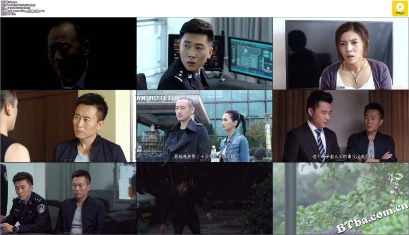 中国刑警803英雄本色