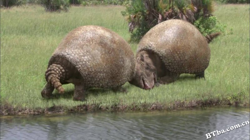 冰河巨兽/Ice Age Giants