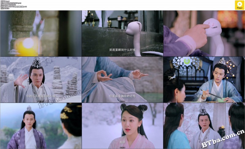 天乩之白蛇传说/天乩之白蛇青蛇/白蛇青蛇