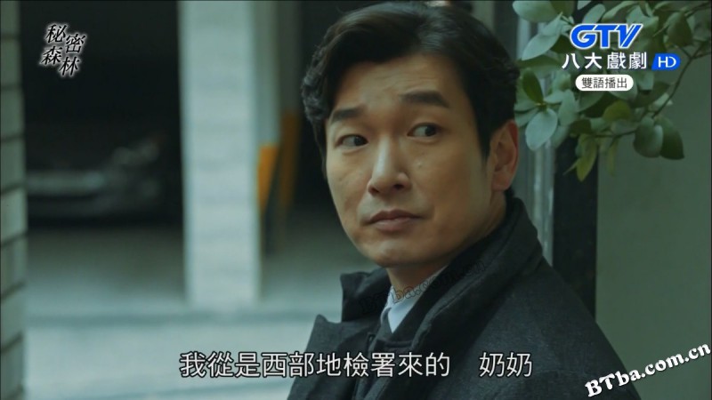 秘密森林/秘密的森林/秘密之森/비밀의 숲