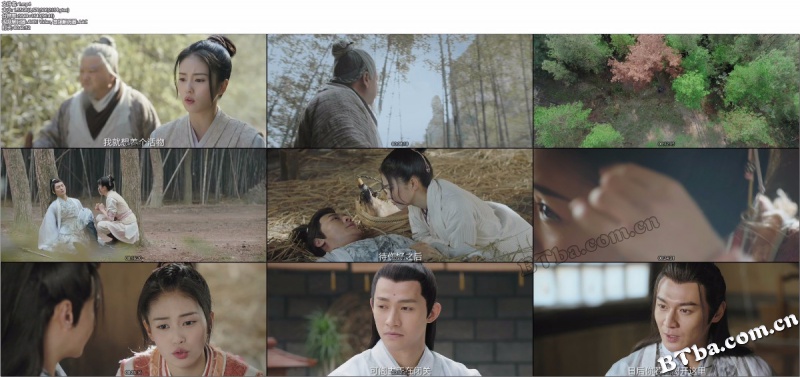 招摇/The Legends