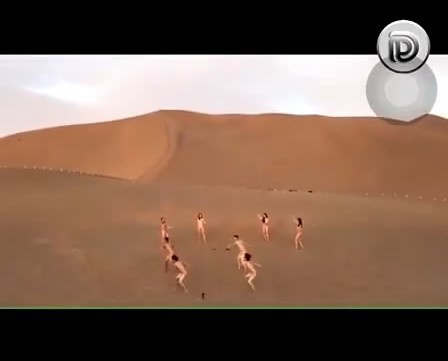 阿拉善 1vs7