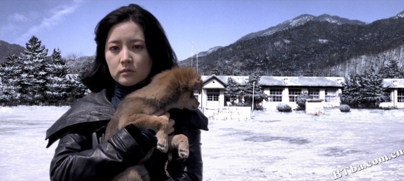 亲切的金子/Sympathy For Lady Vengeance 亲切的金子/Sympathy For Lady Vengeance