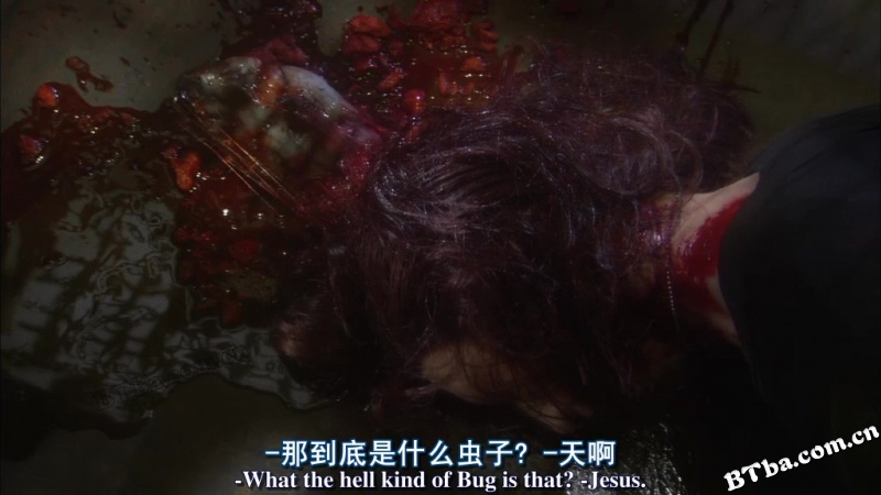 星河战队2：联邦英雄/Starship Troopers 2: Hero of the Federation