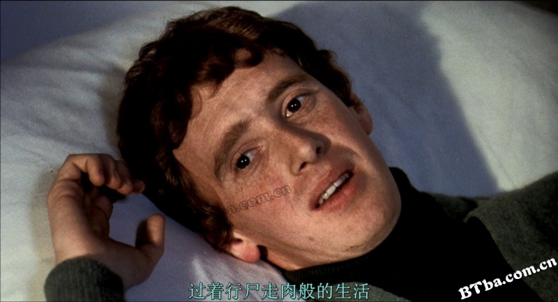 定理/Teorema