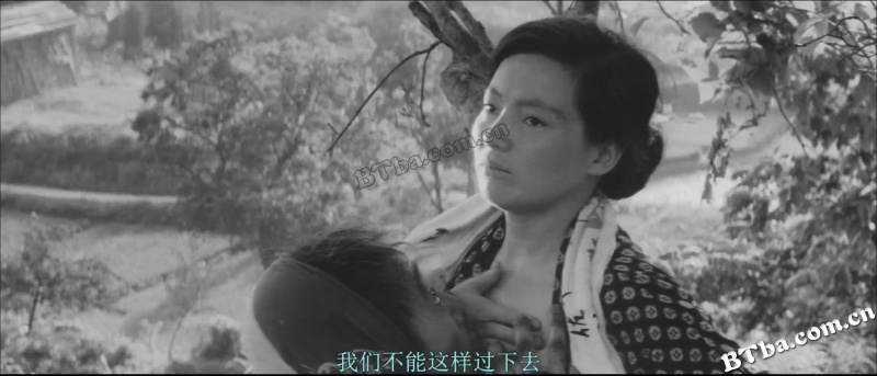 日本昆虫记/The Insect Woman