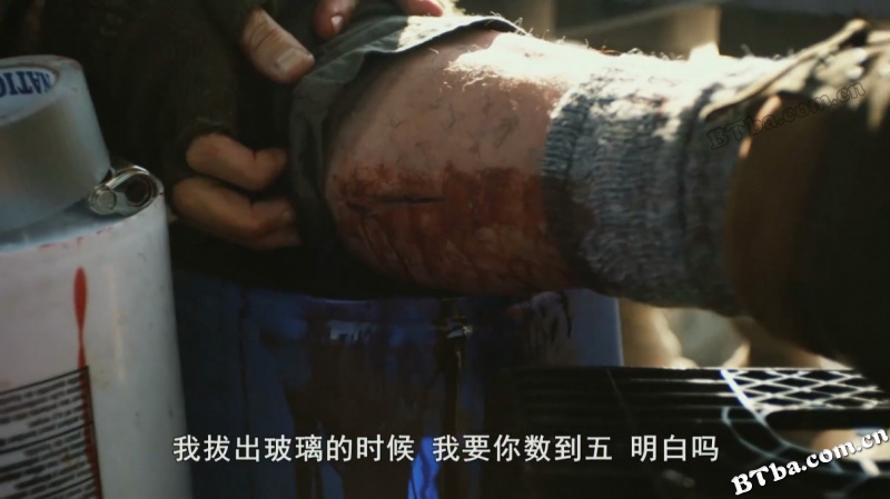 布希维克/全境警戒(台)/Bushwick