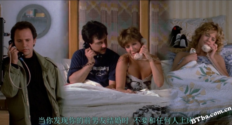 当哈利遇到莎莉/90男欢女爱/当哈利遇到萨莉/When Harry Met Sally...