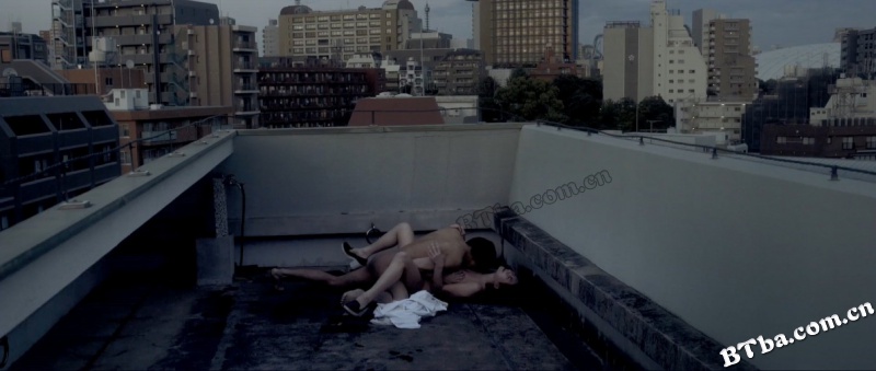 雌猫们/Dawn of the Felines