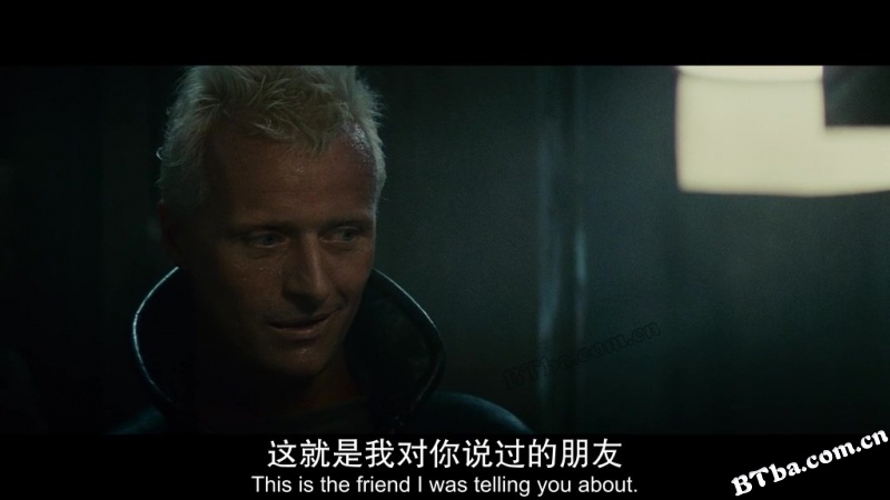 银翼杀手/公元2020/叛狱追杀令/Blade Runner
