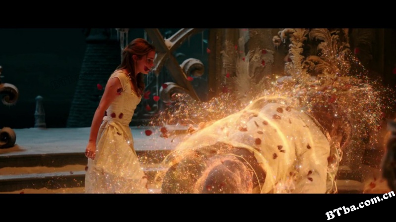 美女与野兽/Beauty and the Beast