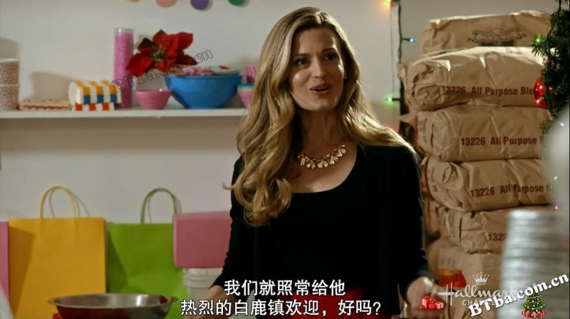 爱在圣诞/CHRISTMAS IN LOVE