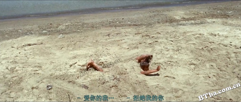 狂人皮埃罗/狂人彼埃洛(港)/狂人比埃洛/Pierrot le fou