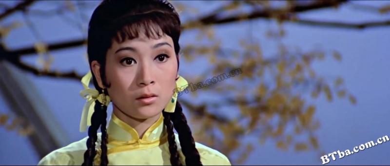壁虎/The Lizard