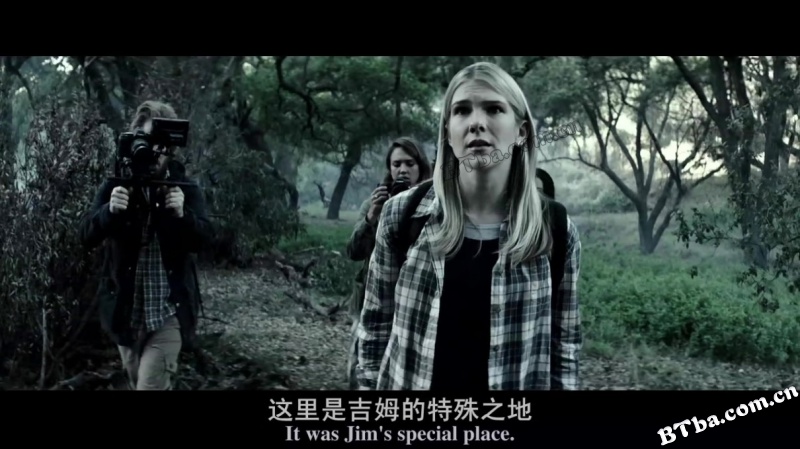 恐怖面纱/欢迎光临自杀小镇(台)/The Veil