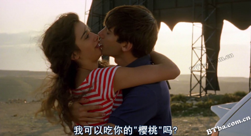 火腿，火腿/共夫共妻/共妻共夫