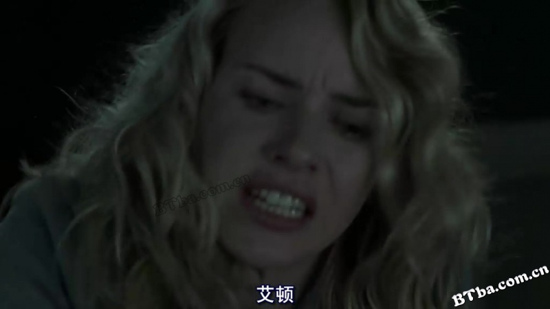 午夜凶铃2(美版)/鬼迷刹玛莉(港)/美版午夜凶铃2/The Ring Two