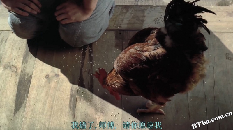 春夏秋冬又一春/春去春又来(台)/春夏秋冬(港)/봄 여름 가을 겨울 그리고 봄