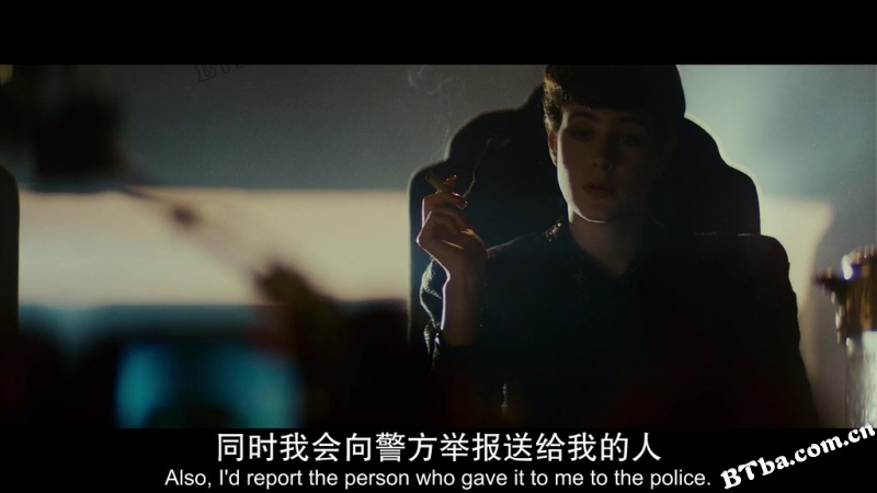 银翼杀手/公元2020/叛狱追杀令/Blade Runner