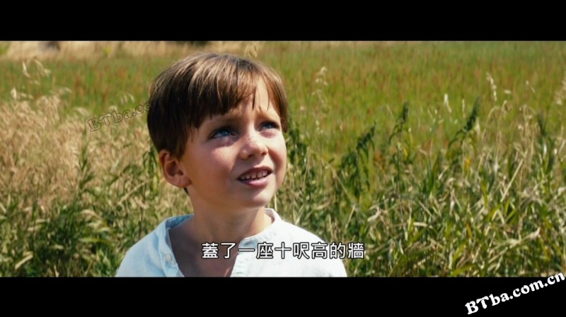 梦工厂/爱在光影追梦时/塔姆法里克/Traumfabrik