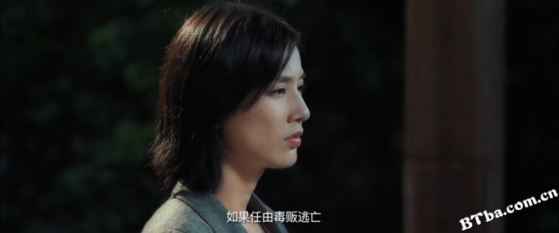狐踪谍影/Fox Hunting
