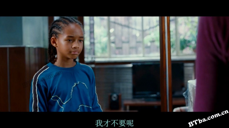 功夫梦/新龙威小子/功夫小子/The Karate Kid