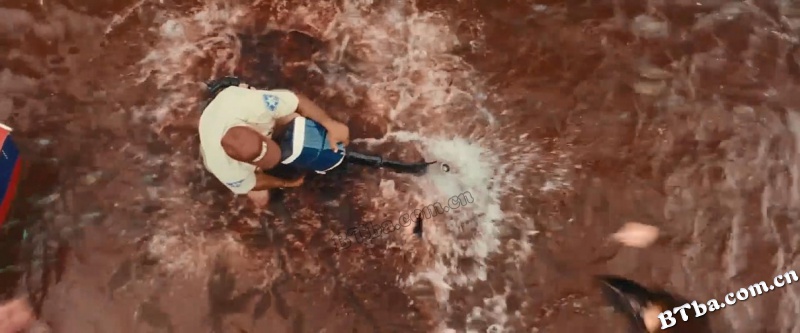 食人鱼3D/变种食人鲳3D(港)/Piranha 3D 食人鱼3D/变种食人鲳3D(港)/Piranha 3D