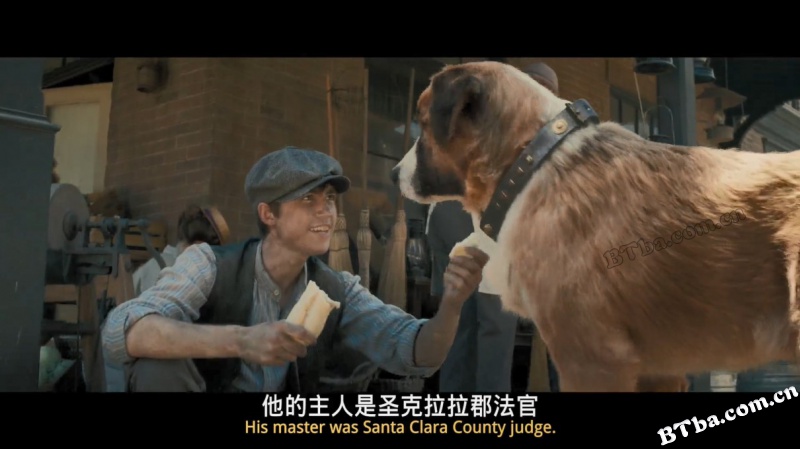 野性的呼唤/荒野的呼唤/极地守护犬(港/The Call of the Wild