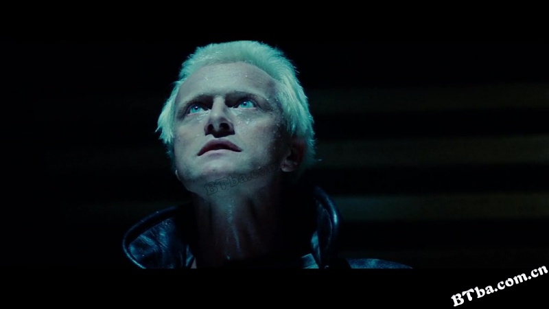 银翼杀手/公元2020/叛狱追杀令/Blade Runner