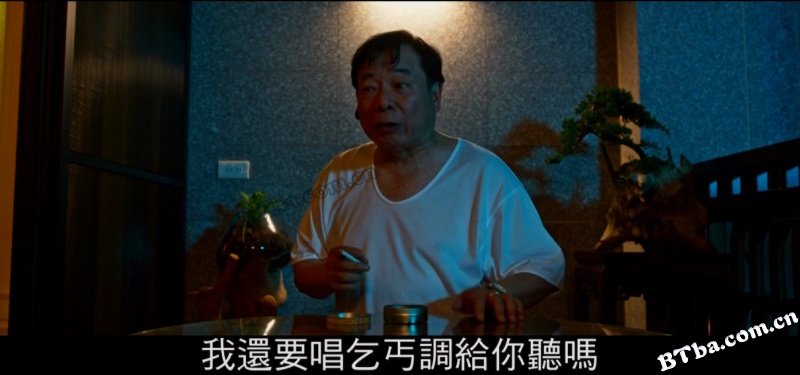 喜从天降/喜從天降