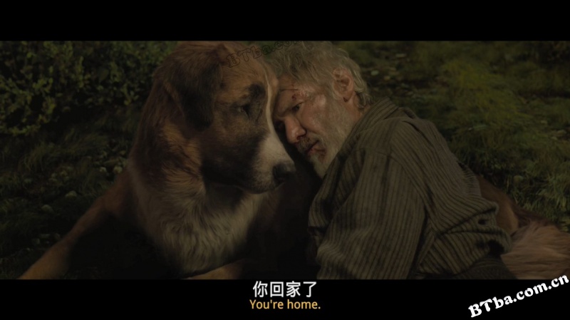野性的呼唤/荒野的呼唤/极地守护犬(港/The Call of the Wild