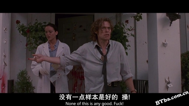 处刑人/另类圣徒/义行者/The Boondock Saints