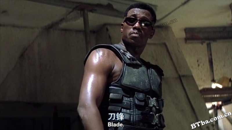 刀锋战士/幽灵刺客/刀锋/Blade