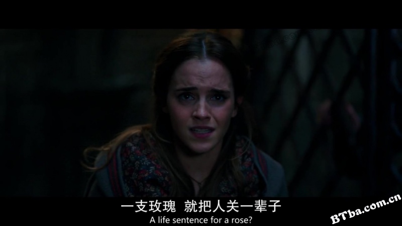 美女与野兽/Beauty and the Beast