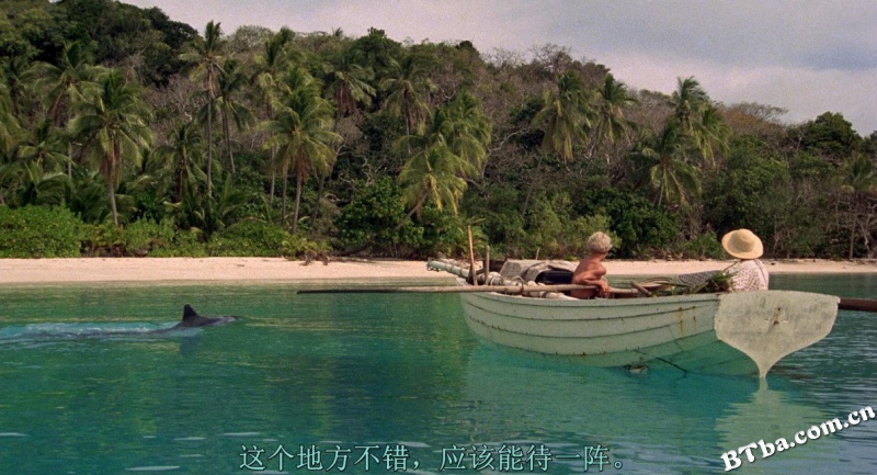 青春珊瑚岛/蓝色珊瑚礁