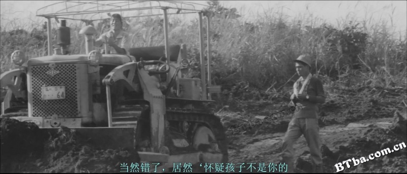 日本昆虫记/The Insect Woman