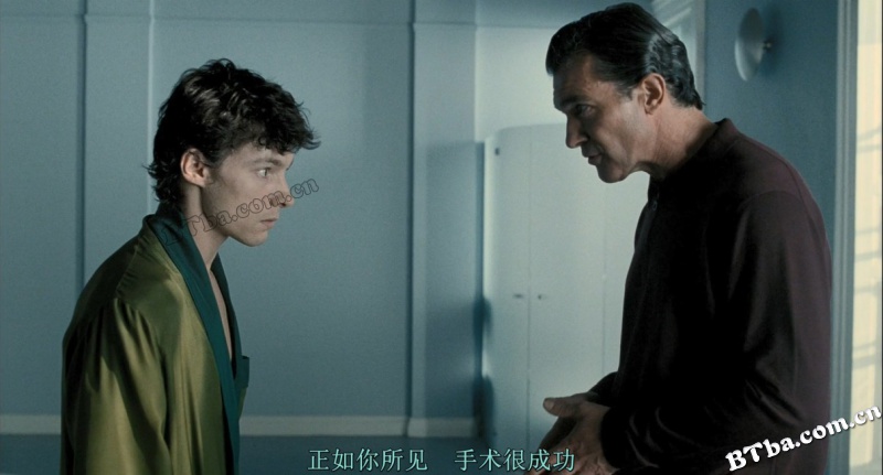 吾栖之肤/我的华丽皮囊(港)/切肤欲谋(台)