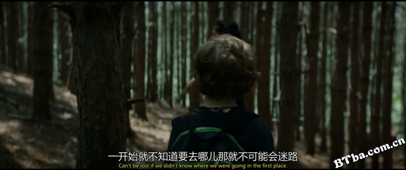 森林恶鬼/The Wretched