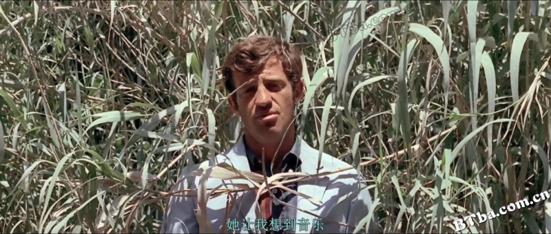 狂人皮埃罗/狂人彼埃洛(港)/狂人比埃洛/Pierrot le fou