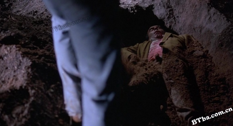 血迷宫/血简单/Blood Simple