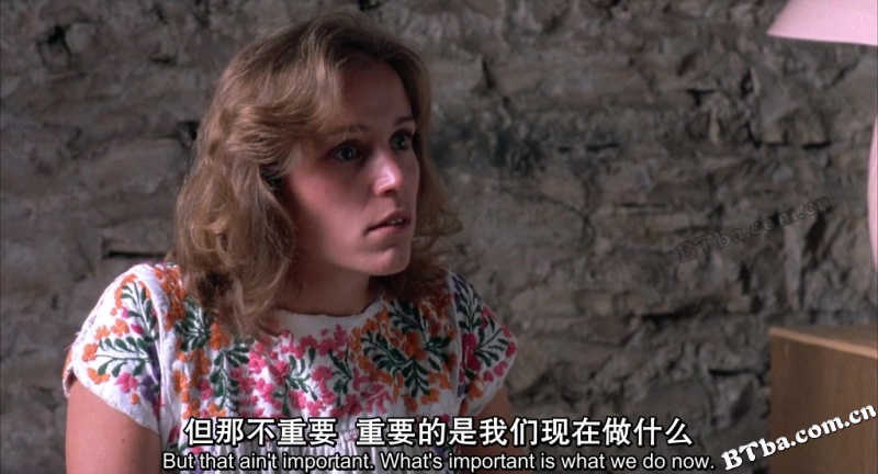 血迷宫/血简单/Blood Simple