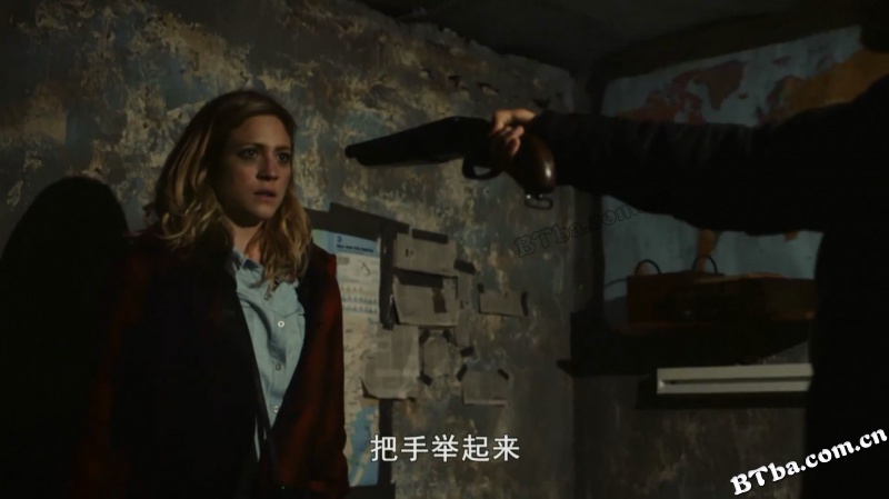 布希维克/全境警戒(台)/Bushwick