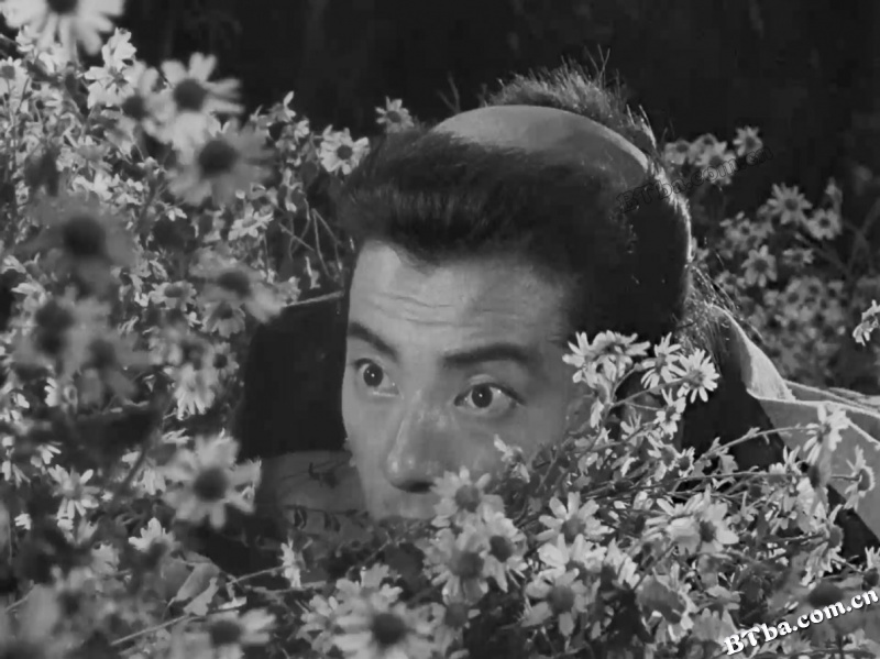七武士/七侠四义/The Seven Samurai